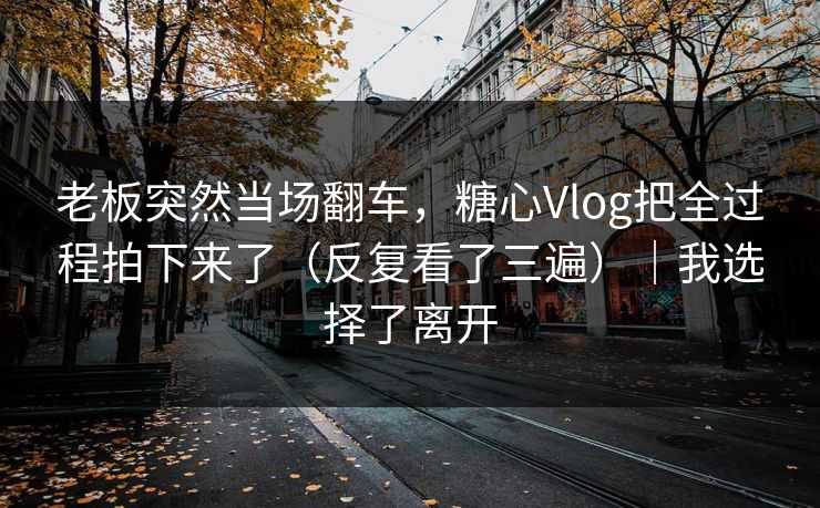 老板突然当场翻车，糖心Vlog把全过程拍下来了（反复看了三遍）｜我选择了离开