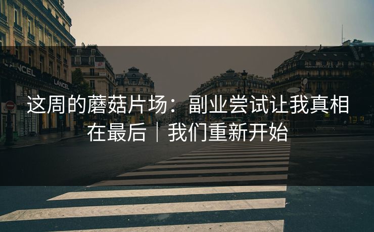 这周的蘑菇片场：副业尝试让我真相在最后｜我们重新开始
